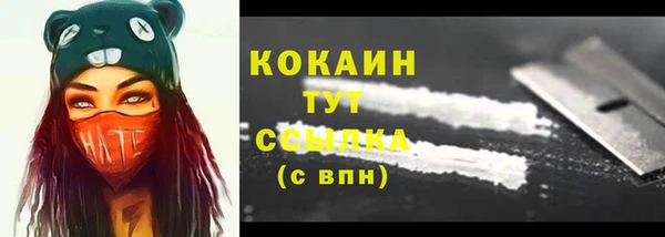 стаф Осташков