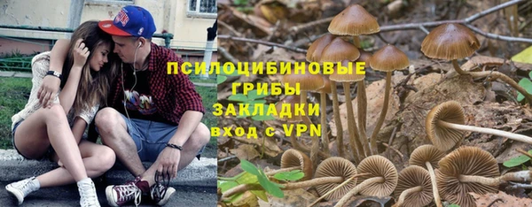 mdpv Вязьма