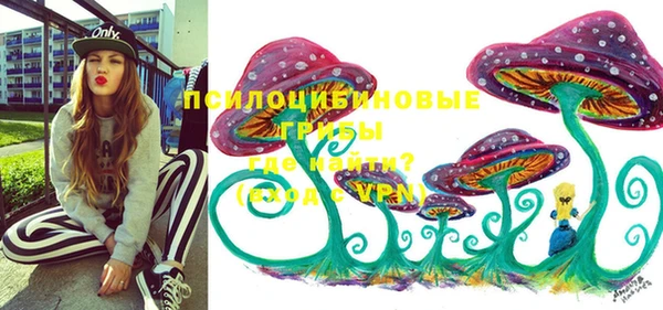 mdpv Вязьма