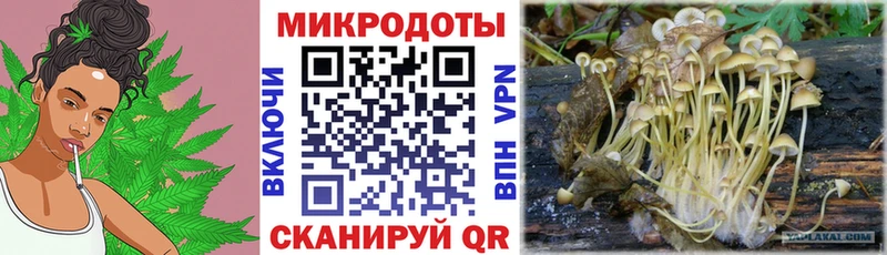 Галлюциногенные грибы Psilocybine cubensis  цены   Муром 